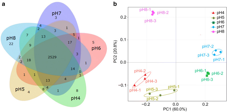 Fig. 3