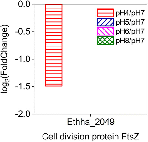 Fig. 6