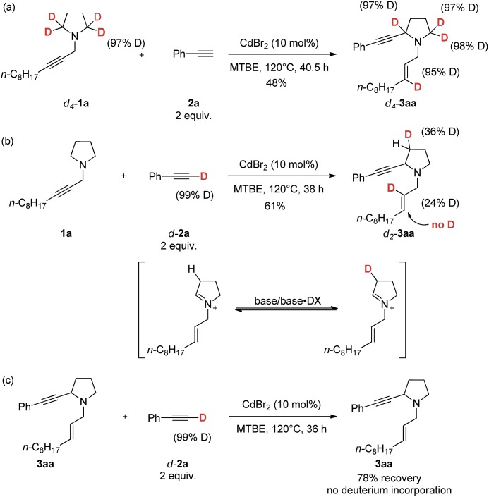 Scheme 5