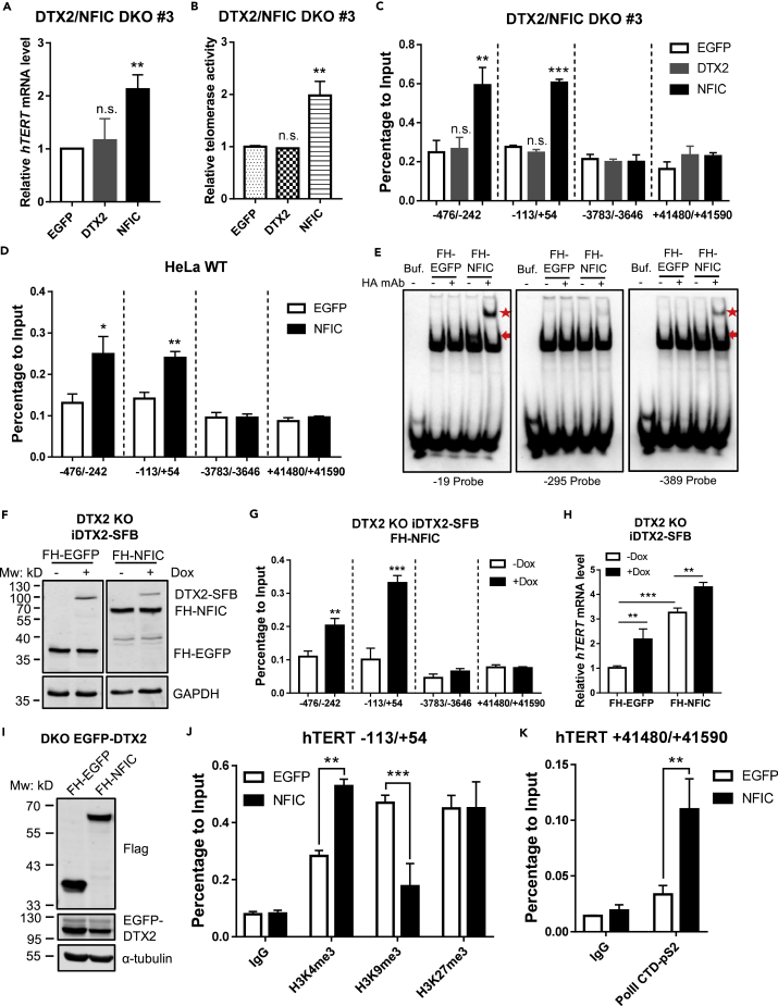 Figure 6