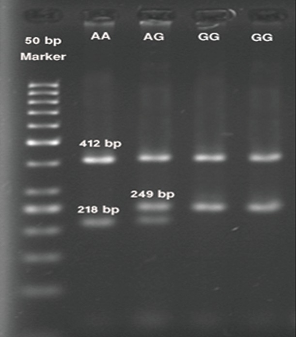 Fig.2