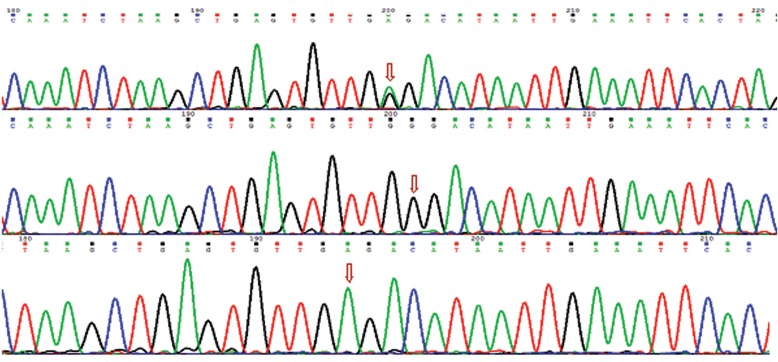 Fig.4