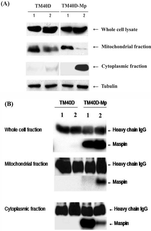 FIG. 11.