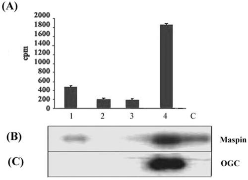 FIG. 7.