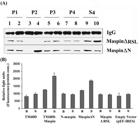 FIG. 9.