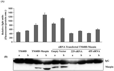 FIG. 12.