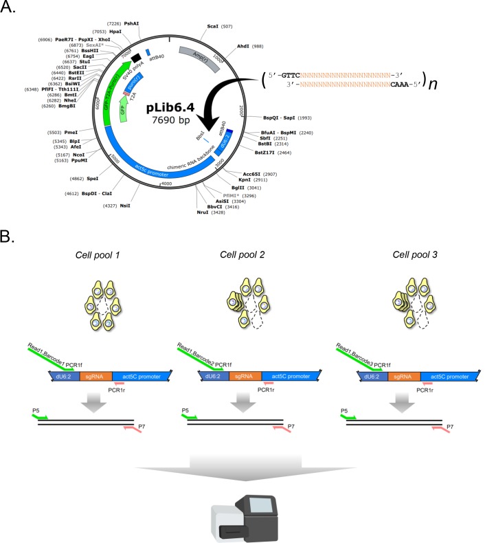 Figure 1—figure supplement 3.