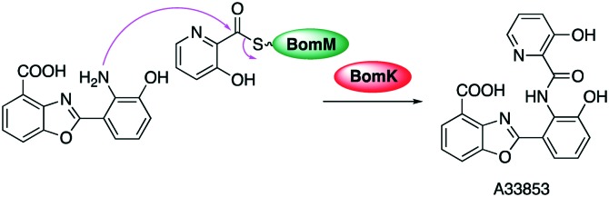 Fig. 14