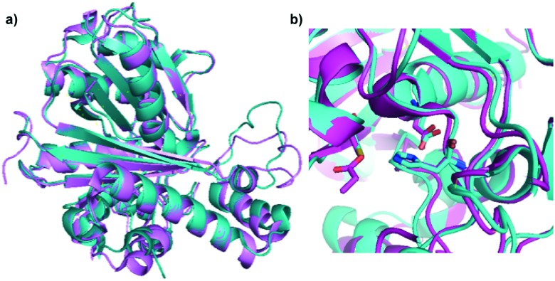 Fig. 13