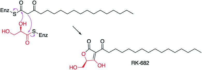 Fig. 10