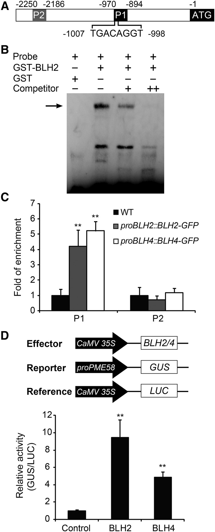 Figure 5.