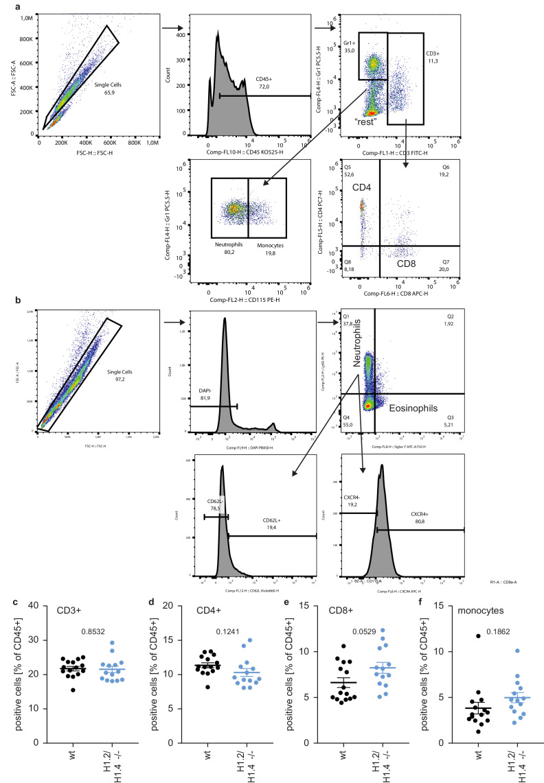 Figure 5—figure supplement 1.