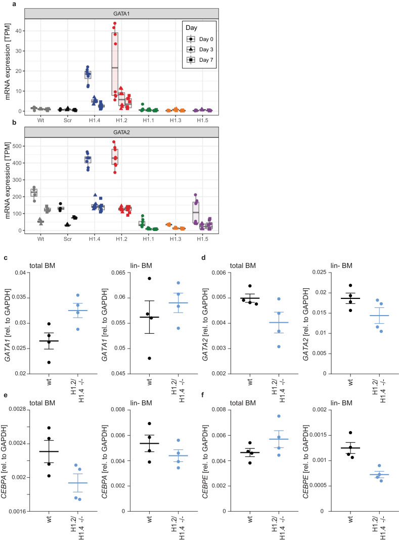 Figure 6—figure supplement 1.