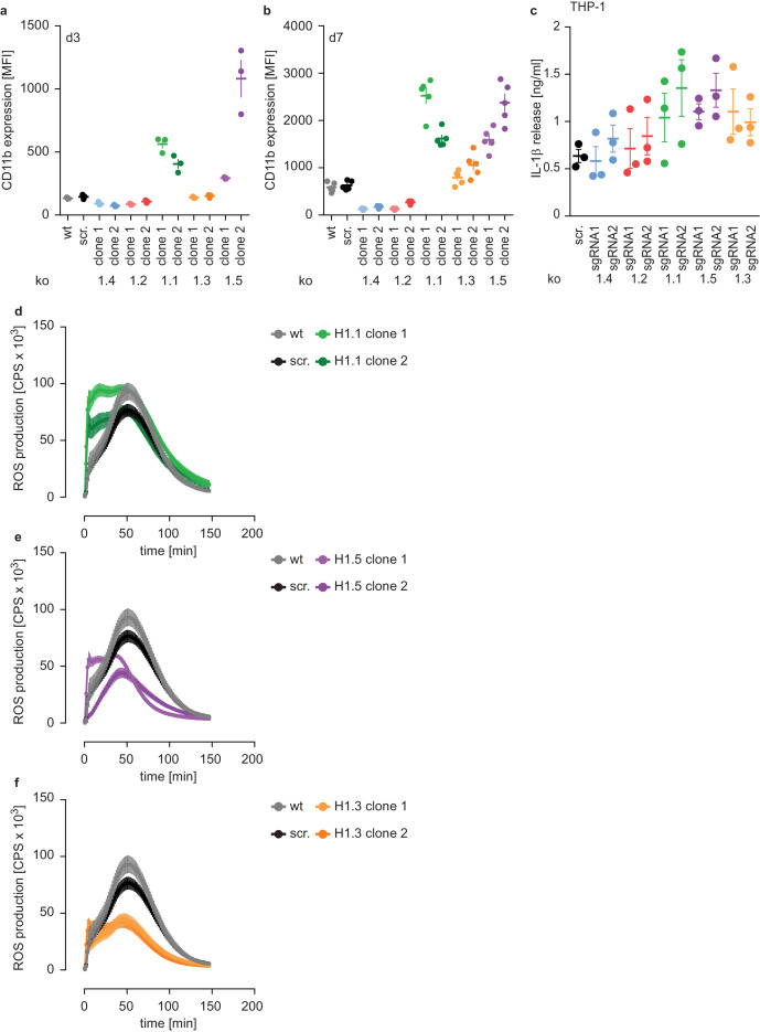 Figure 3—figure supplement 1.