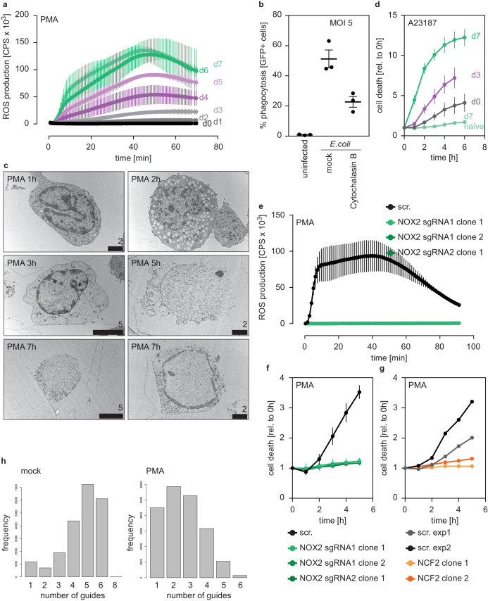 Figure 1—figure supplement 1.