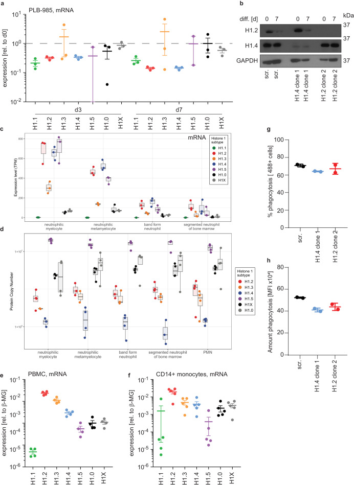 Figure 2—figure supplement 1.