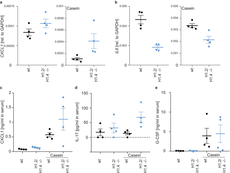 Figure 5—figure supplement 6.