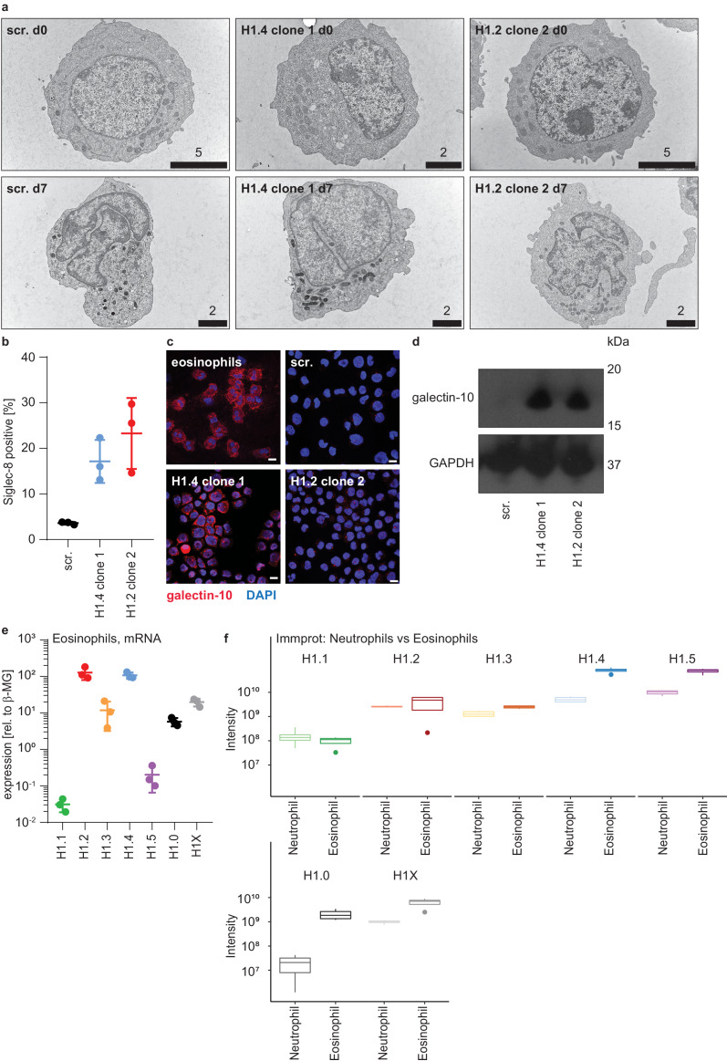 Figure 4—figure supplement 3.