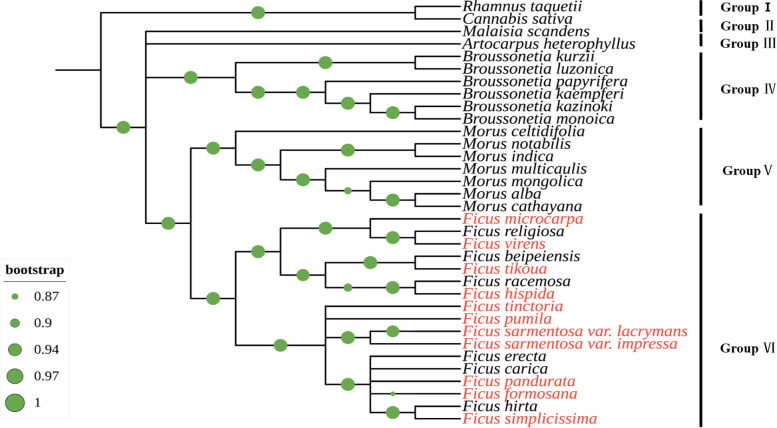 Fig. 7