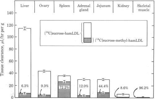 graphic file with name pnas00637-0367-a.jpg