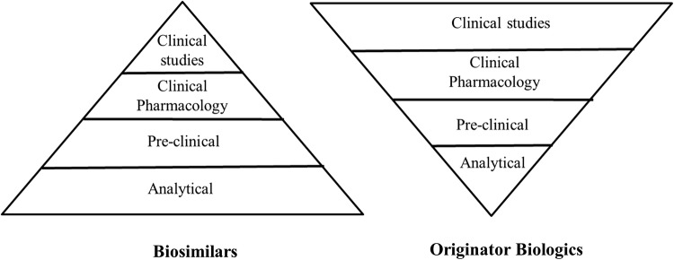 Fig. 6