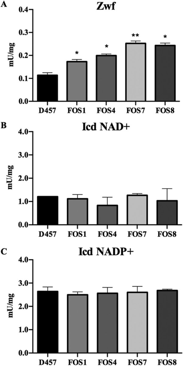 FIG 3