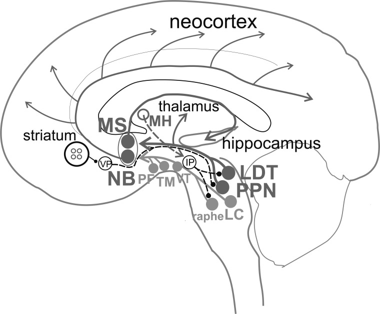 Fig. (1)