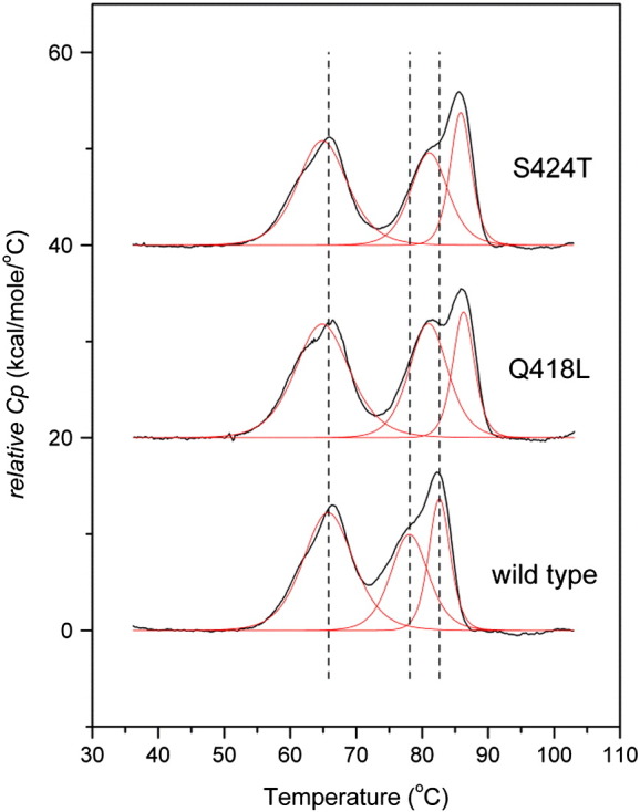 Fig. 2