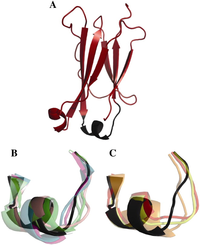 Fig. 7