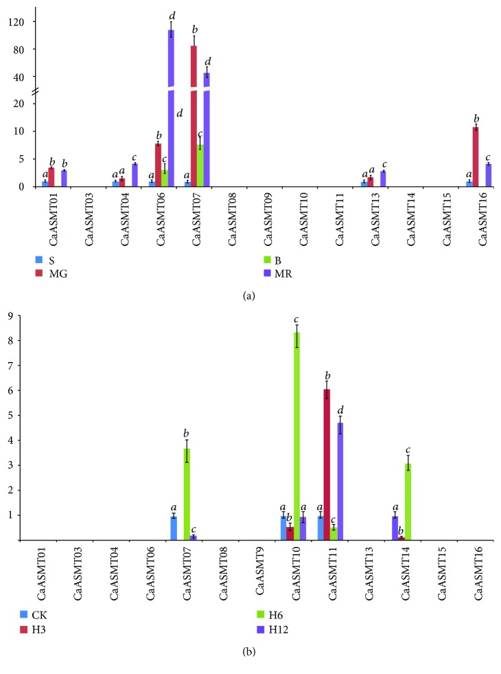 Figure 6