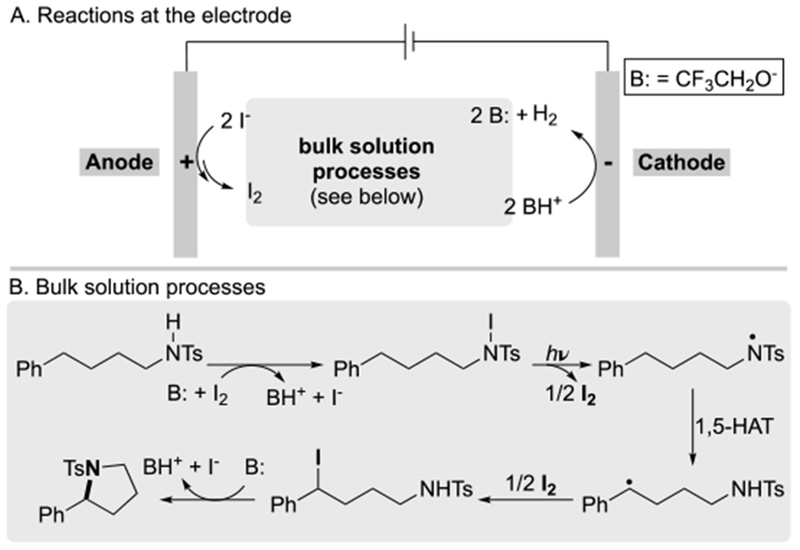 Scheme 3.