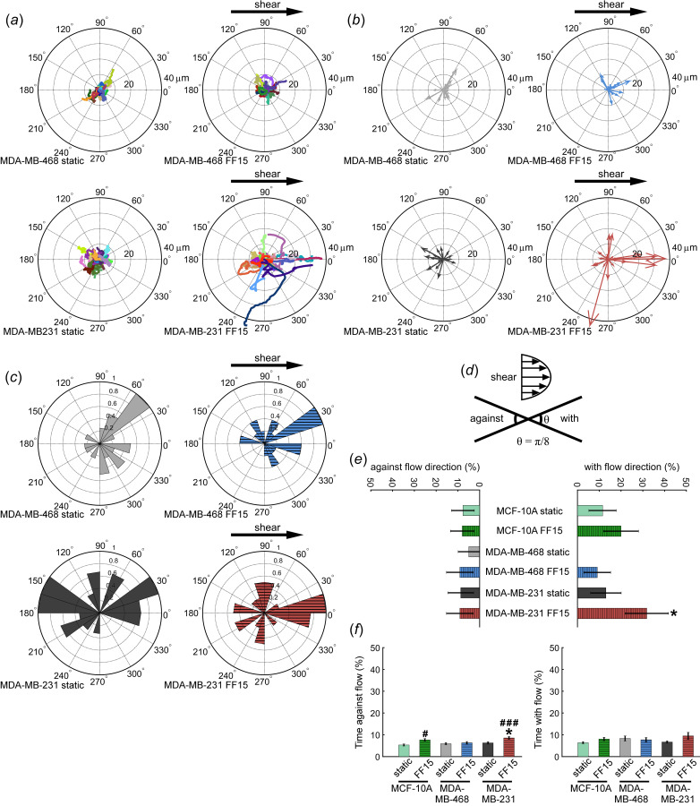 Fluid shear triggers MDA-MB-231 cell migration in the flow direction but does not affect MDA-MB-468 cell. (a) Under static condition, no directional preference was found for either MDA-MB-231 or MDA-MB-468 cell lines. Directional migration for sheared MDA-MB-231 cells is seen in (b) which has migration tracks replaced by the resultant vector and (c) an angle histogram. (d) Diagram illustrating definition of migration with and against flow direction. (e) The percent of cells moving with and against the flow direction. (f) Time migrating with and against the flow direction. #: comparison with MCF-10A static. *: comparison with MDA-MB-468 static. Other comparisons did not reach statistical significance. Single and triple symbols represent p < 0.05 and p < 0.001, respectively.