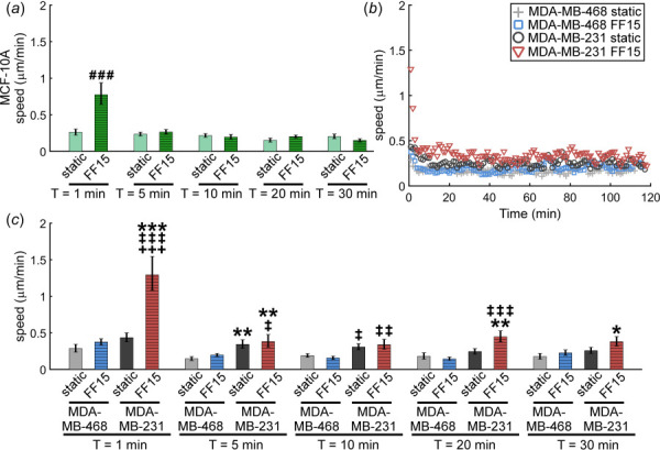 Breast cancer cell migration speed is dependent on metastatic potential, shear stimulation, and time after shear. (a) MCF-10A exhibited low response to flow stimulation with only an increase in cell speed at shear onset. (b) and (c) The MDA-MB-231 line may exhibit characteristics related to increased metastasis by migrating significantly faster than MDA-MB-468. The greatest speed of the MDA-MB-231 line was seen at shear onset with the speed decreasing until reaching a rather constant value after about 30 min. #: comparison with MCF-10A static. *:comparison with MDA-MB-468 static. ‡: comparison with MDA-MB-468 FF15. +: comparison with MDA-MB-231 static. Other comparisons did not reach statistical significance. Single, double, and triple symbols represent p < 0.05, p < 0.01, and p < 0.001, respectively.