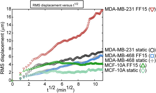 Intrinsic metastatic potential and extracellular fluid shear may combine to increase breast cancer cell migration. RMS displacement is a measure of cell migration in a collective sense that ensemble-averages and thus summarizes overall migration trends. The MCF-10A cells had the lowest RMS displacement in both static and sheared conditions, reflecting the low migration capabilities of the benign cells. The MDA-MB-468 line was unaffected by fluid shear stimulation with almost indistinguishable differences in the static and sheared cases. The MDA-MB-231 line under static condition had higher RMS displacement compared with MDA-MB-468 line under static and flow conditions. Shear stimulation significantly activated MDA-MB-231 cell migration resulting in highest RMS displacement.