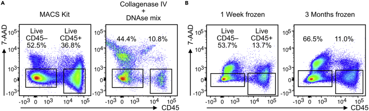 Figure 4