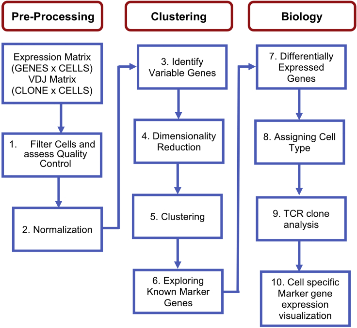 Figure 5