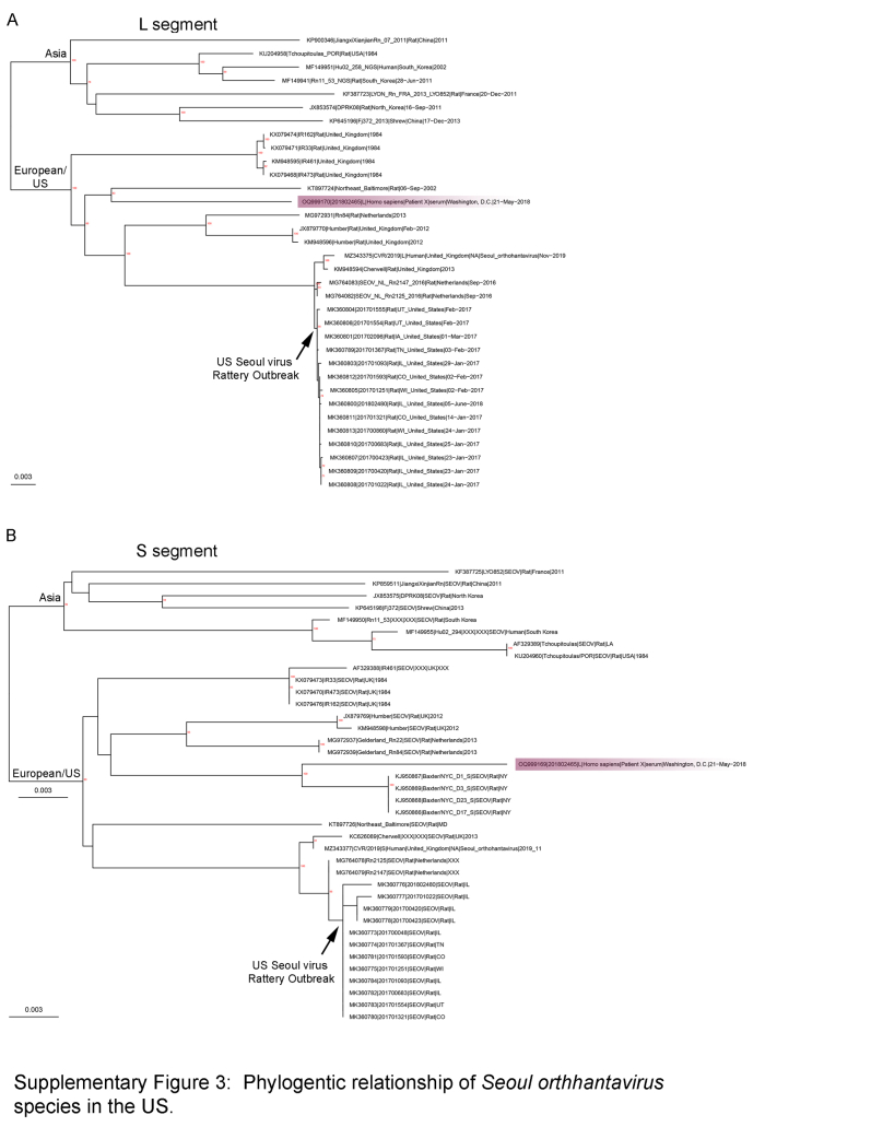 Supplemental Figure S3