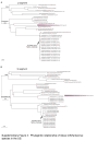 Supplemental Figure S3