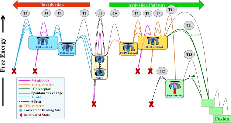 FIG 7