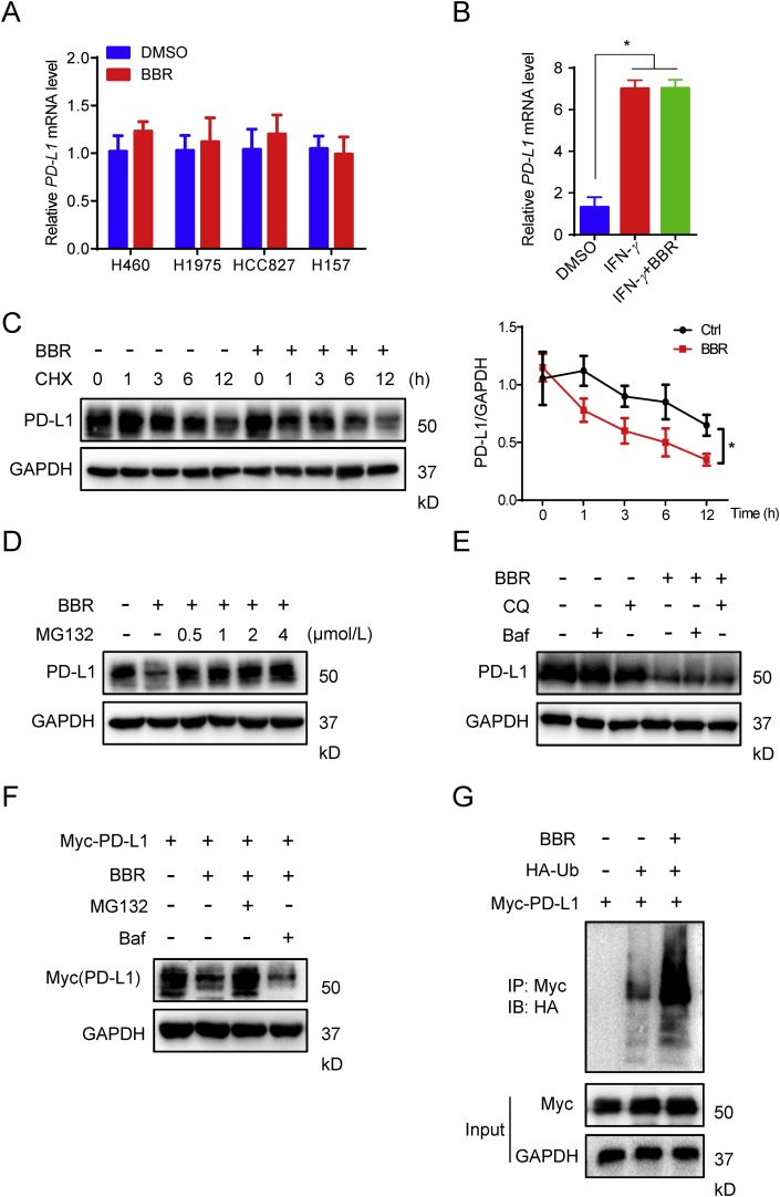 Figure 5