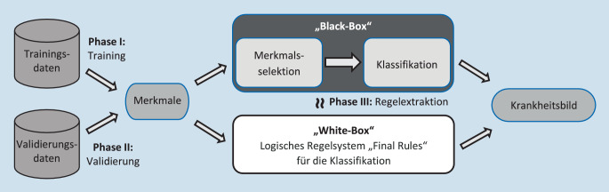 graphic file with name 347_2021_1486_Fig1_HTML.jpg