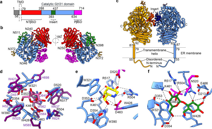 Fig 3