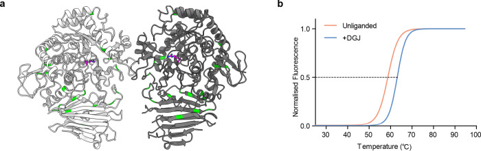 Fig 5