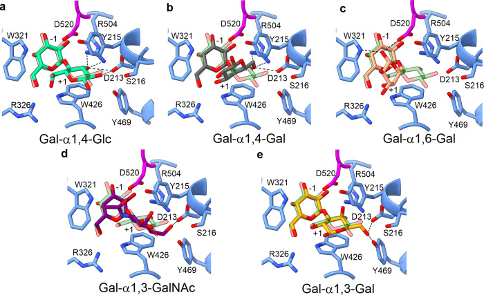 Fig 4