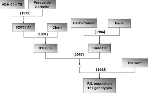 Fig. 1