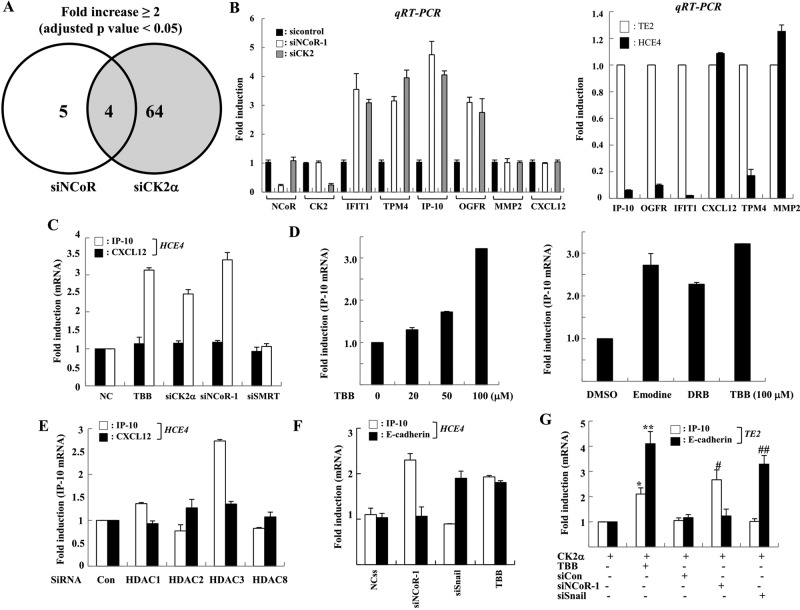 FIGURE 5: