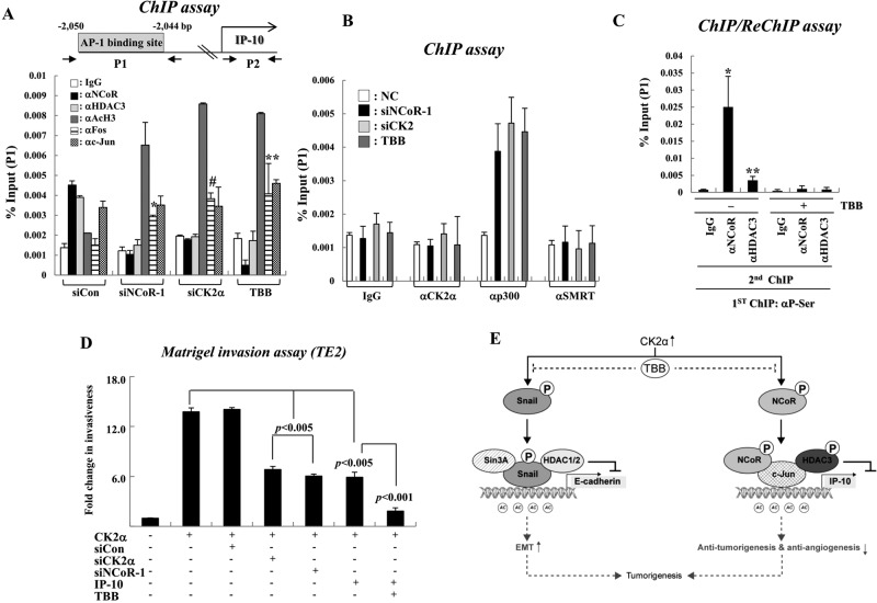 FIGURE 6: