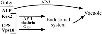 Figure 8