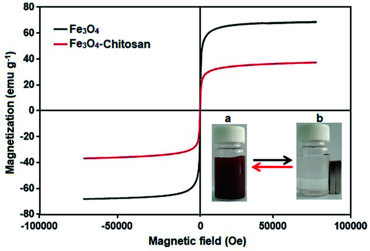 Fig. 11