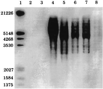 FIG. 6